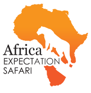 Africa Expectation Safaris